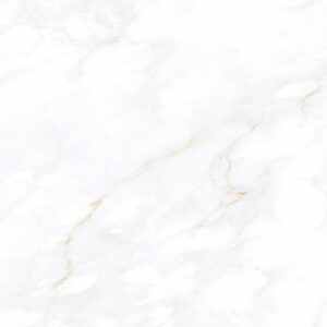 RAFFAELLO POLISHED | 1002